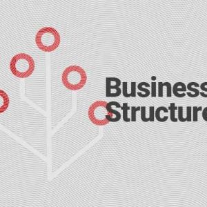 business structures in india
