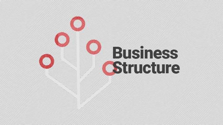 business structures in india